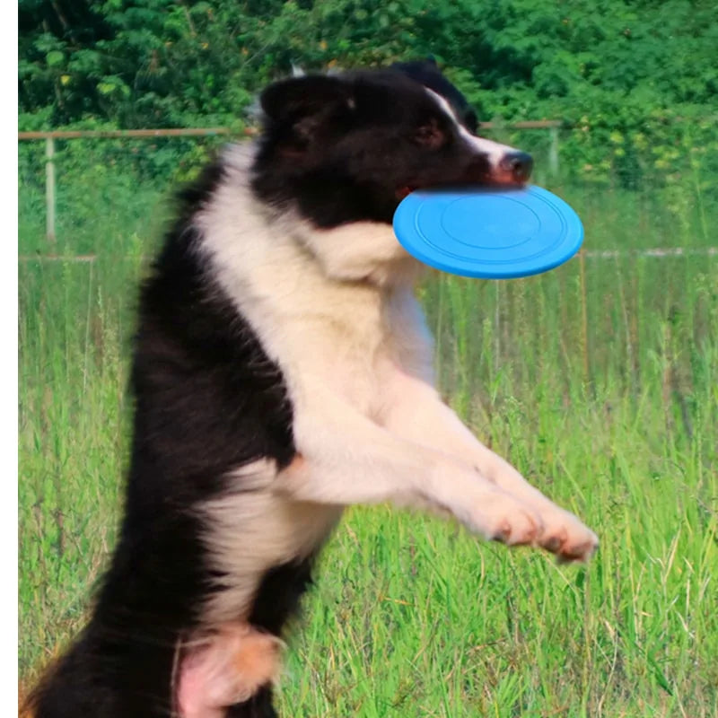 GripEasy Soft Dog Frisbee