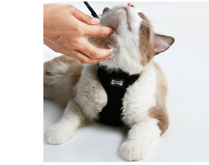 ComfyCat Non-Slip Harness