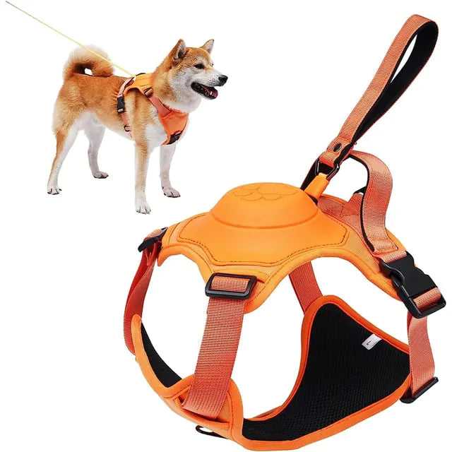 Adventure Pup All-In-One Safety Harness