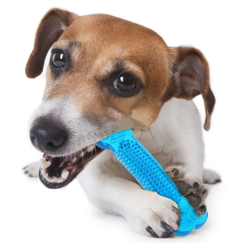 Pet Oral Health Chew Toy