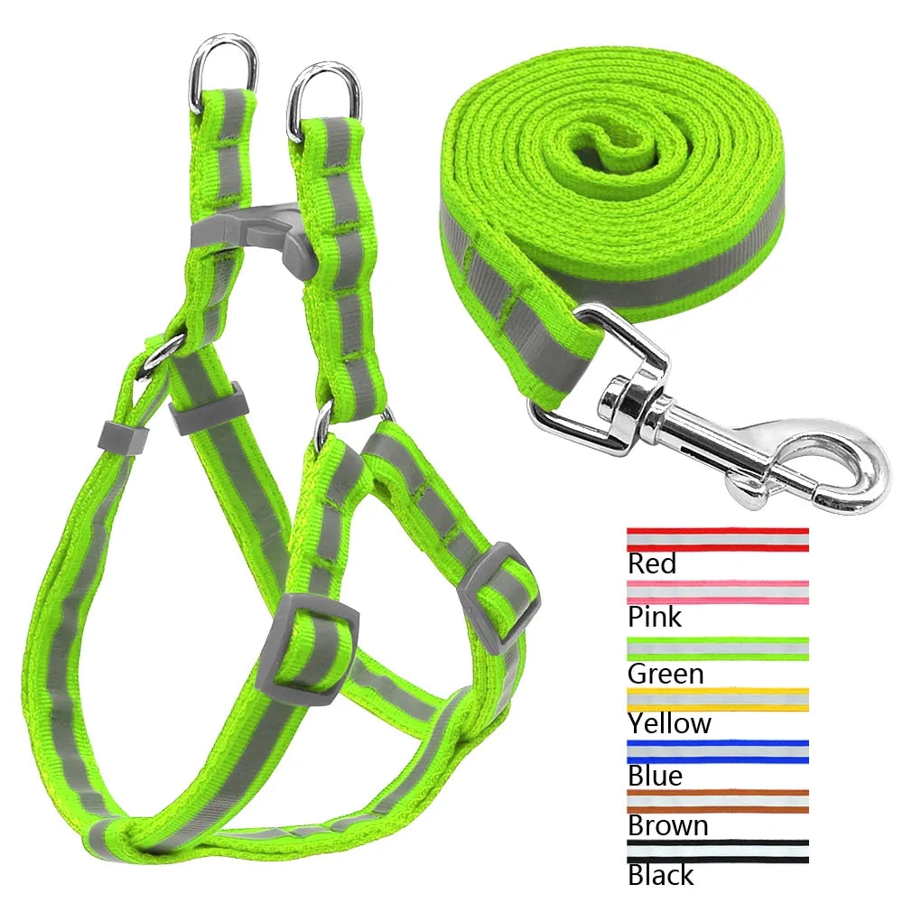 Secure Pet Leash Kit