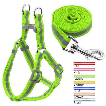 Secure Pet Leash Kit