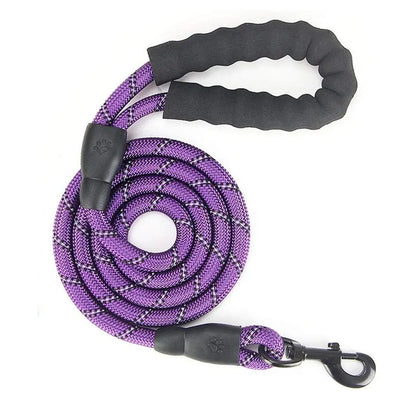 Reflective Nylon Dog Leash: Comfort and Safety