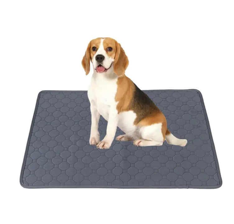 Pet Parents Washable Training Pads for Dogs