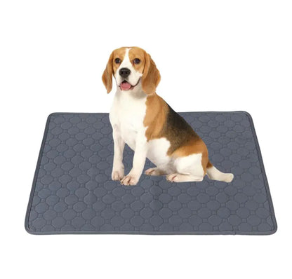 Pet Parents Washable Training Pads for Dogs