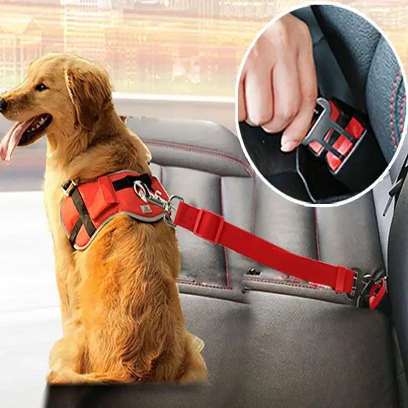 PetSecure Seat Belt