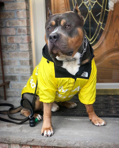 Canine Chic Raincoat Hoodie