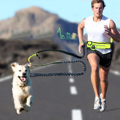 Freedom Jogger Dog Leash