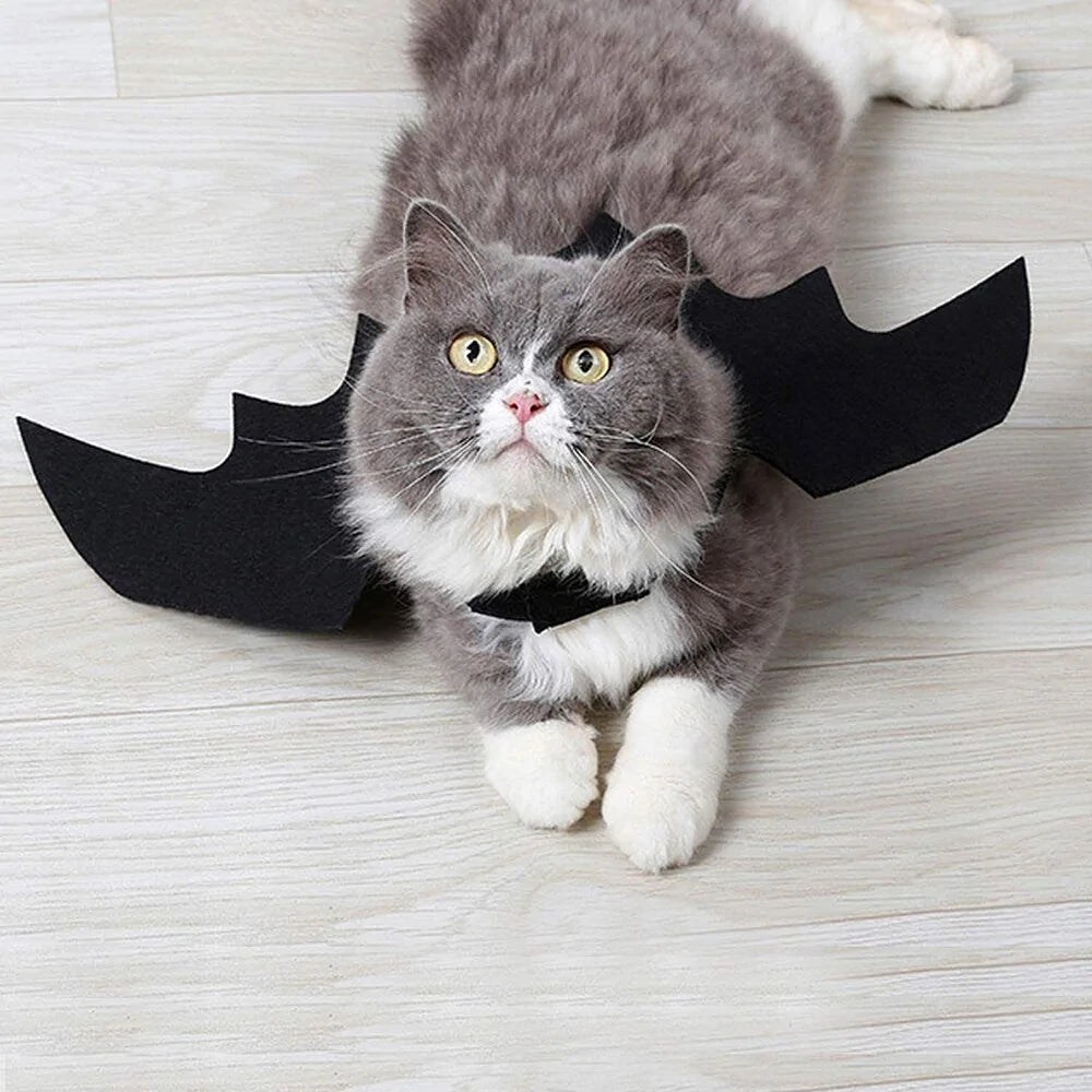 Spooky Bat Pet Costume