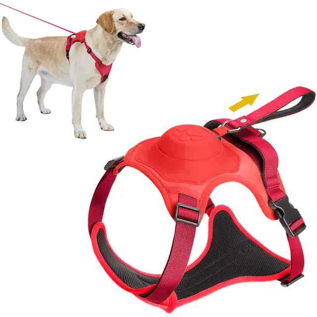 Adventure Pup All-In-One Safety Harness