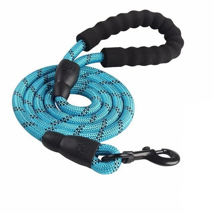 Reflective Nylon Dog Leash: Comfort and Safety