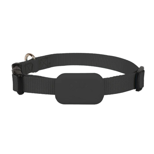 SafePet GPS Tracker Collar