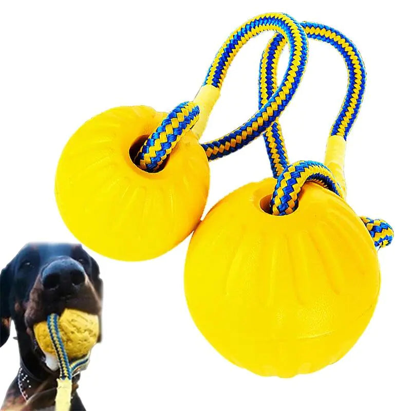 Puppy Play Ball with Rope