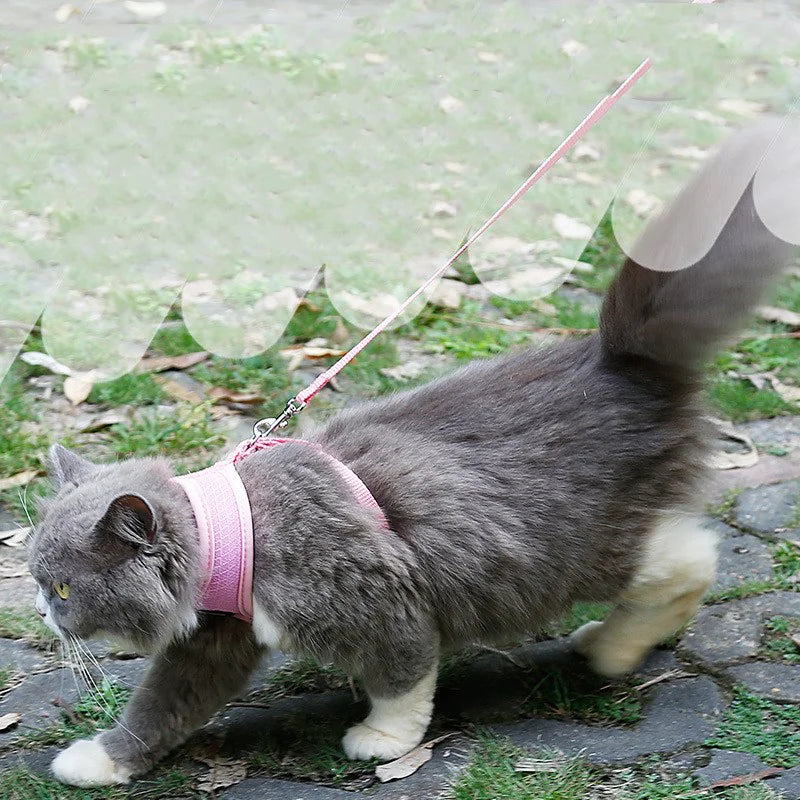 ComfyCat Non-Slip Harness