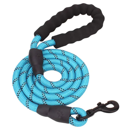 GlowGuard Dog Leash