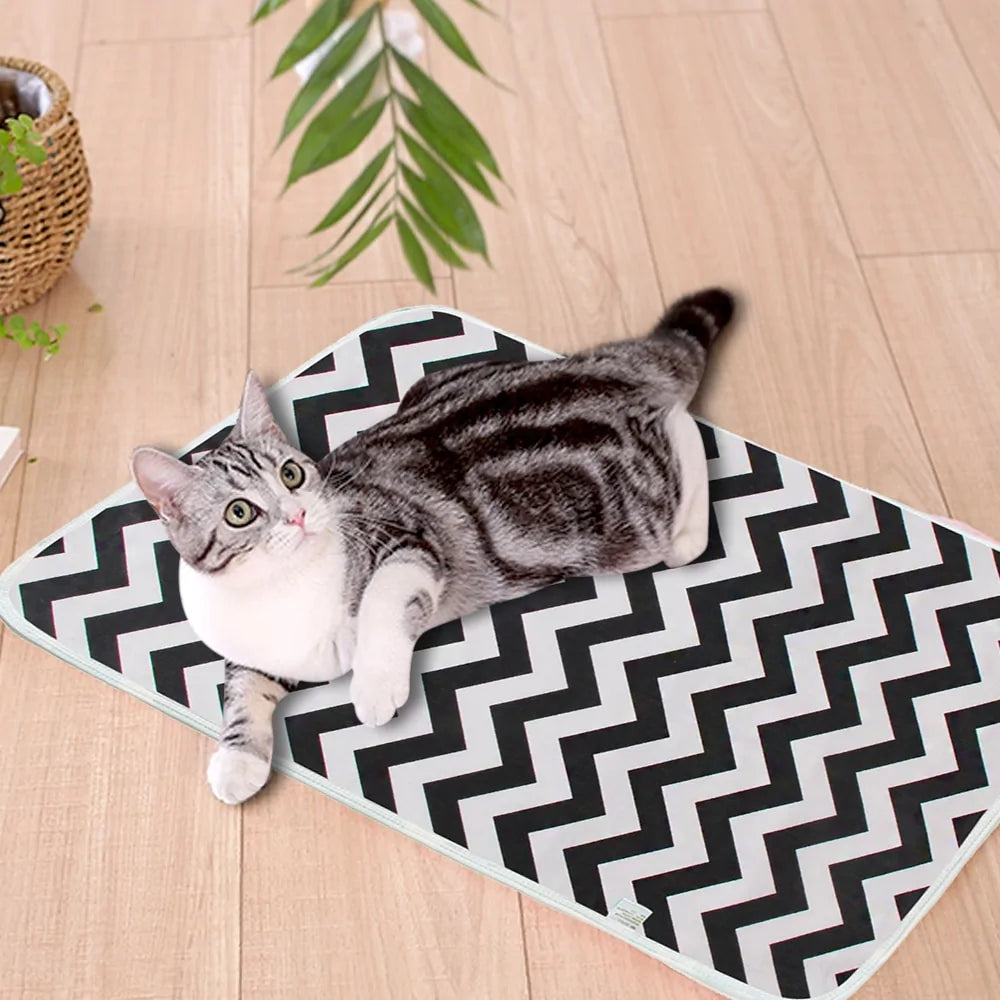 Eco-Friendly Reusable Pet Training Mat