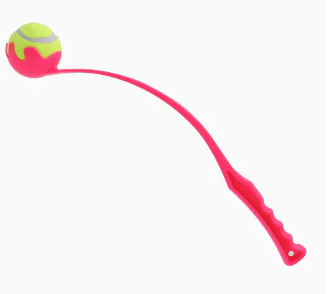 Outdoor Dog Training Throw Toy