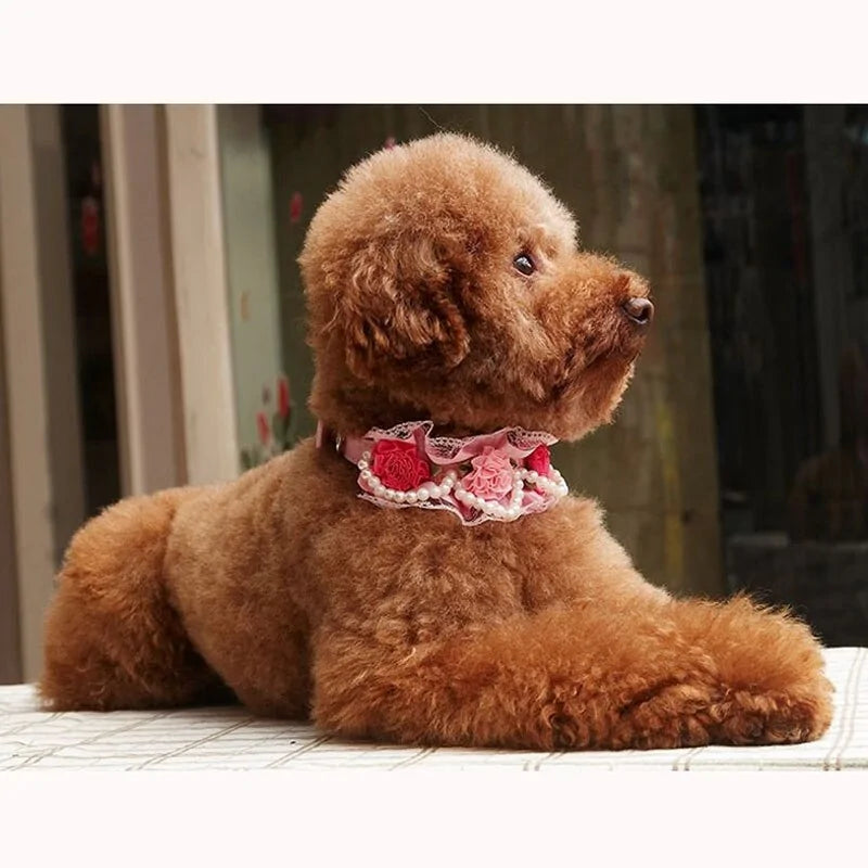 Glam Leather Collar with Rhinestone Buckle