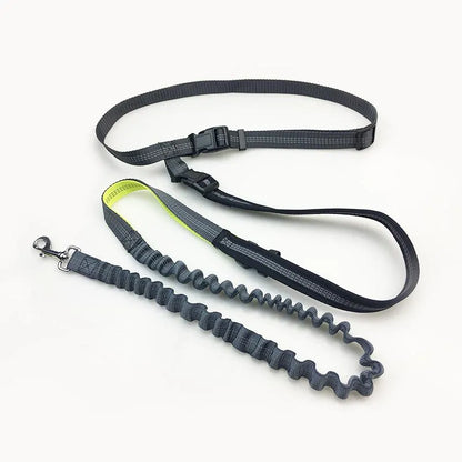 Freedom Jogger Dog Leash