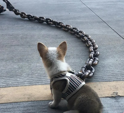 Classic Iron Dog Leash