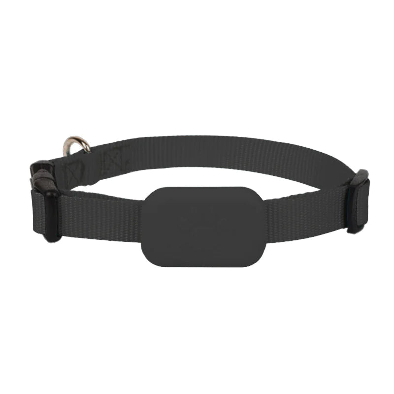 SafePet GPS Tracker Collar