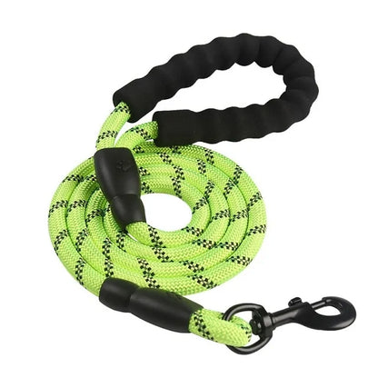 Reflective Nylon Dog Leash: Comfort and Safety