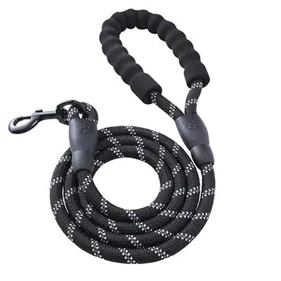 GlowGuard Dog Leash