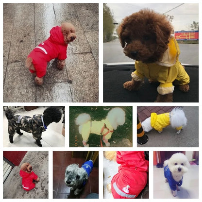 Comfort Pet Rain Jacket