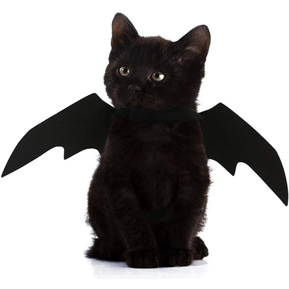 Spooky Bat Pet Costume