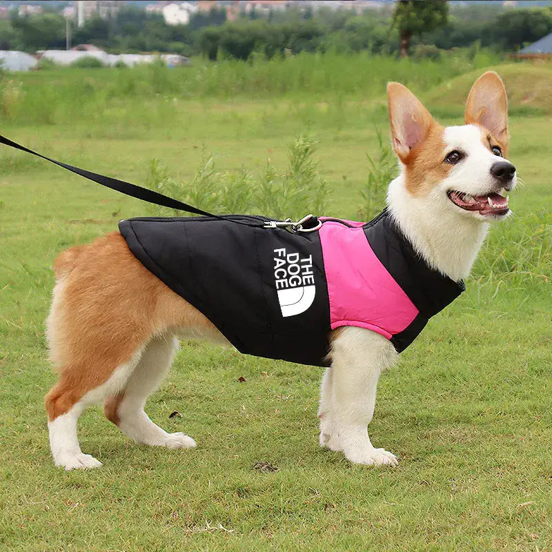 All-Weather Pooch Parka