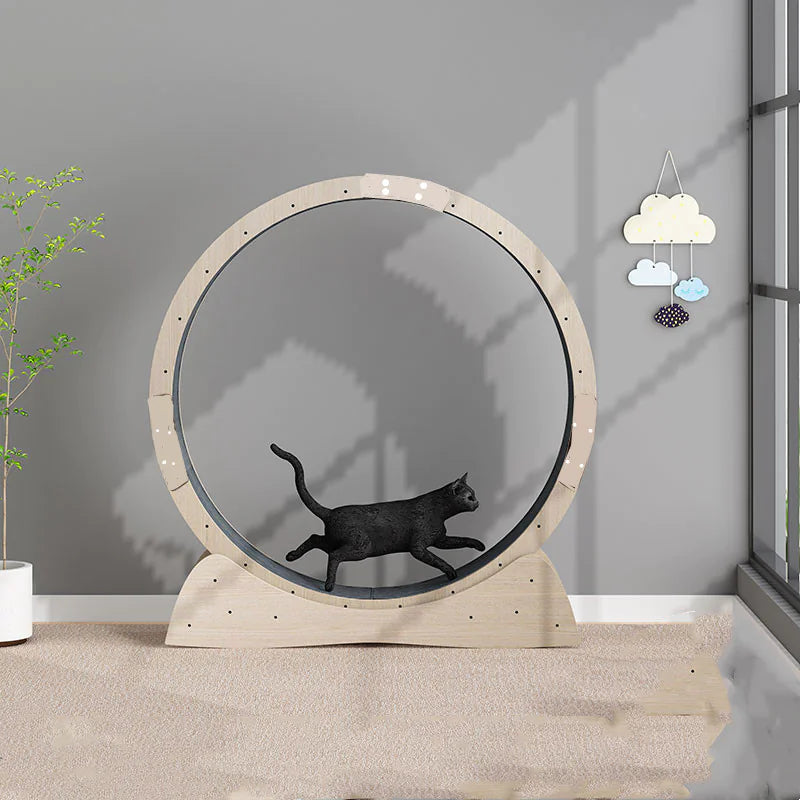 Silent Cat Exercise Wheel