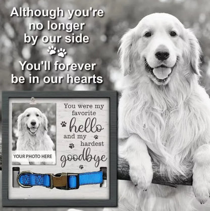 Creative Wooden Pet Commemorative Plaque - Dog/Cat Collar & Photo Frame