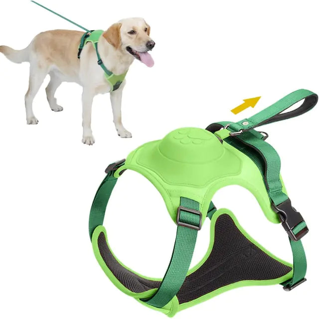 Adventure Pup All-In-One Safety Harness