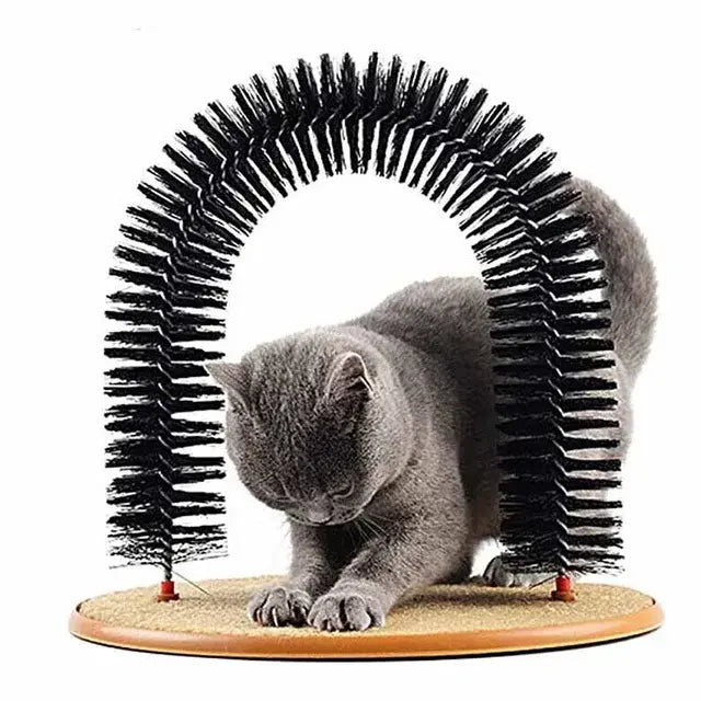 Feline Fun Arch: Self-Care & Play Station