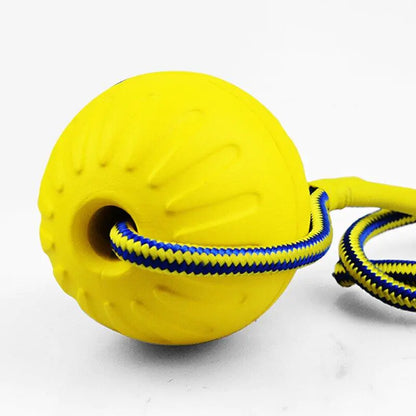 Puppy Play Ball with Rope