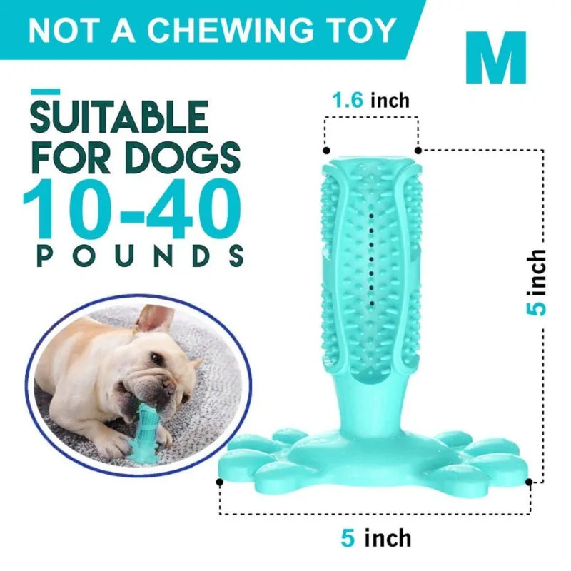 Canine Dental Brush