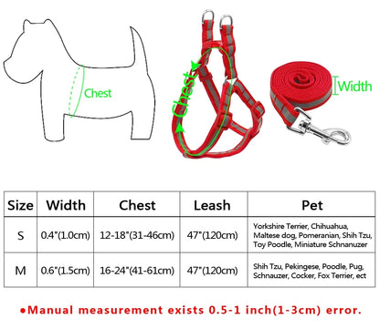 Secure Pet Leash Kit