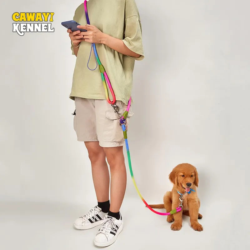 Reflective Nylon Dog Leash