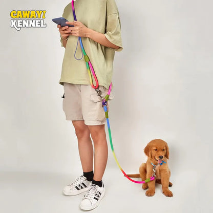 Reflective Nylon Dog Leash