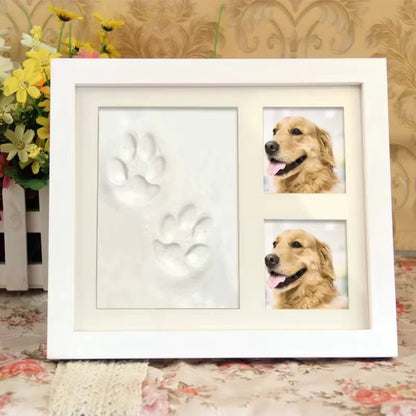 DIY Pet Pawprint Kit