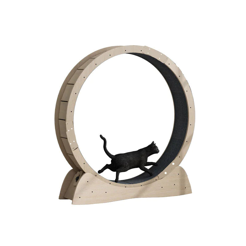 Silent Cat Exercise Wheel