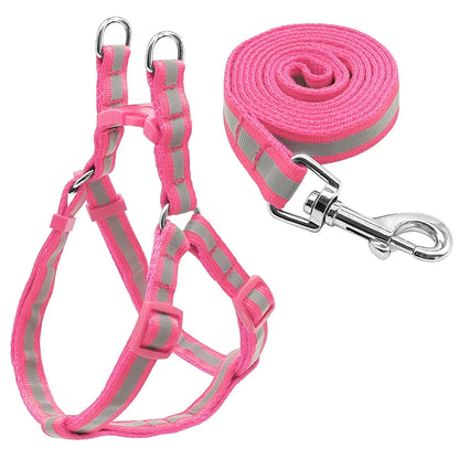 Secure Pet Leash Kit