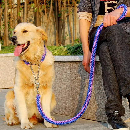 Chic Robust Leash Set for Large Dogs