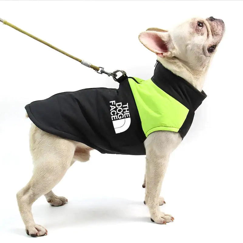 All-Weather Pooch Parka