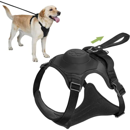 Adventure Pup All-In-One Safety Harness