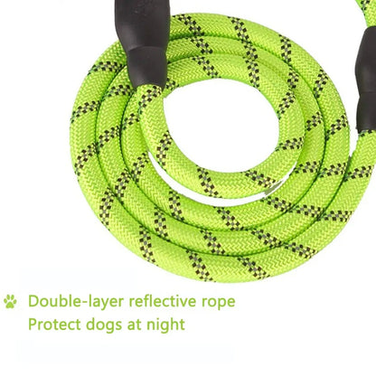 Reflective Nylon Dog Leash: Comfort and Safety