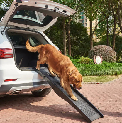 Folding Pet Ramp