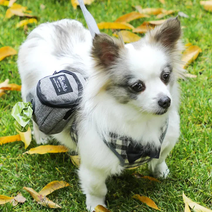 Pet Voyage Fashion Carrier