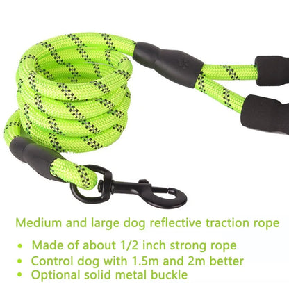 Reflective Nylon Dog Leash: Comfort and Safety