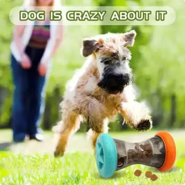 Durable Slow-Feed Toy for Dogs